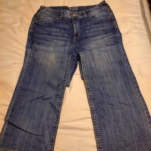 Maurices bootcut jeans Size 16L